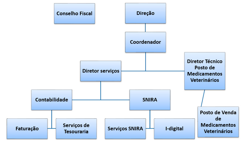 organograma ADS Estremoz